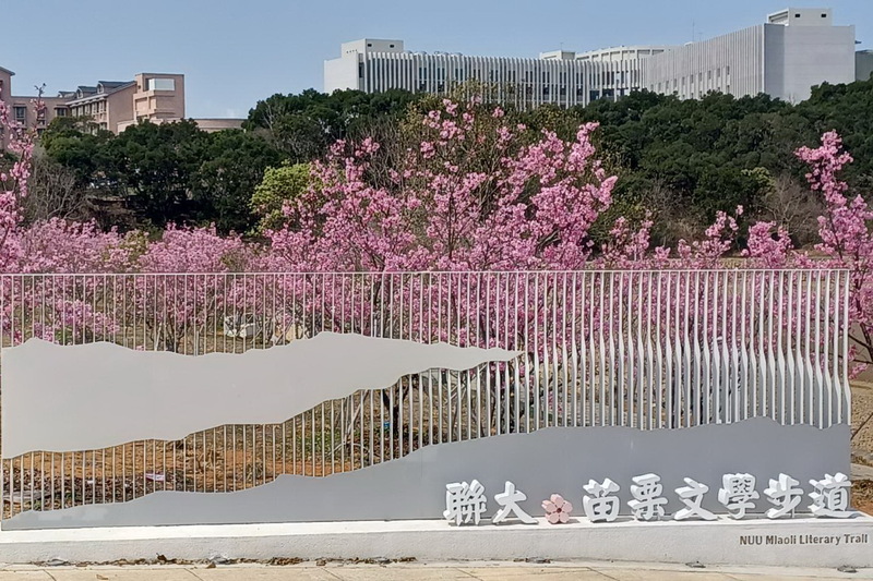 112.3.12 捐植櫻花樹林的黃振倉傑出校友特與榮譽校友返校賞櫻圖片