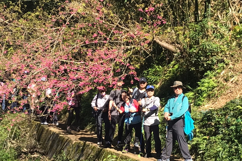 112.2.12 台北分會登山社暨電子系友會走春活動圖片